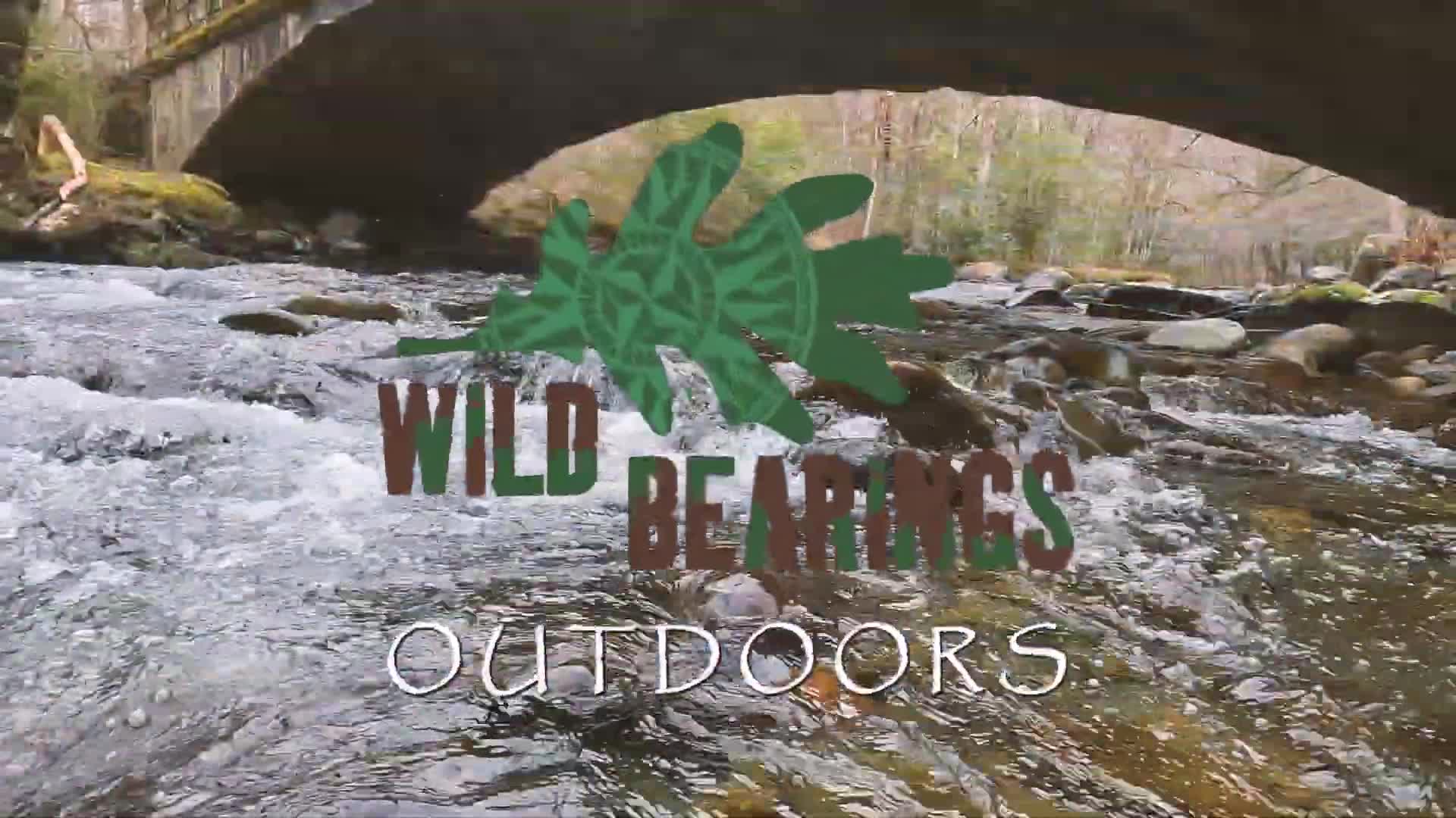 Load video: Promotional video for Wild Bearings Outdoors with glimpses of beautiful creeks and streams and Chris Sloan and Sam Johnson fly fishing them.